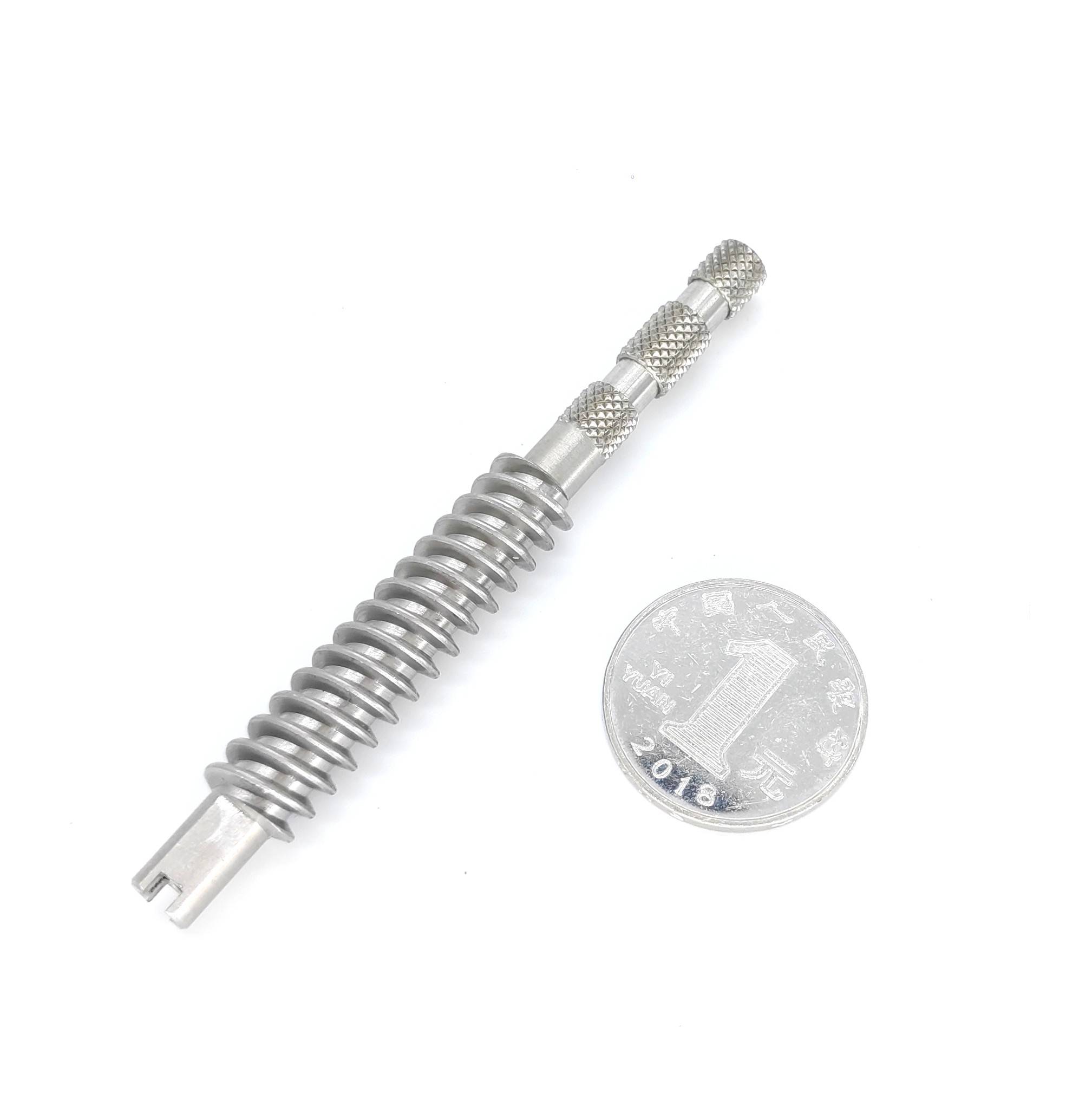 Worm Shaft | Luteng CNC Parts